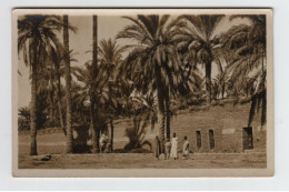 Algérie LAGHOUAT  Dans Le Chemin De Ronde (Coll. Attalah Bouameur) - Laghouat