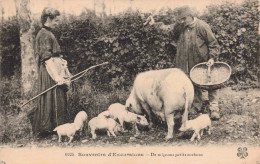 AGRICULTURE - S18512 - Souvenirs D'Excursions - De Mignons Petits Cochons - Elevage