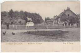 Bergen Op Zoom. Wouwse Plantage. - (Noord-Brabant) - 1907 - Kippen, Hert - Bergen Op Zoom