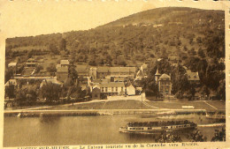 Belgique - Namur - Lustin-sur-Meuse - Le Bateau Touriste Vu De La Corniche Vers Rivière - Profondeville