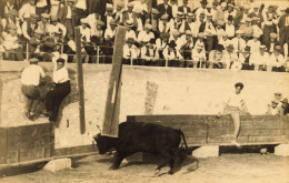 Arles * Carte Photo Photographe George * Manade Corrida Taureaux Tauromachie - Arles