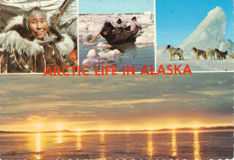 ALASKA - ARCTIC LIFE IN ALASKA / *294 - Autres & Non Classés