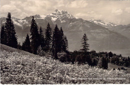 SUISSE - Paysage Aux Environs De Villars - Chesières - Carte Postale Ancienne - Villars-les-Moines