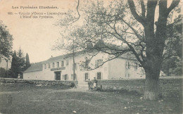 Louvie Juzon * L'hôtel Des Pyrénées * Vallée D'ossau * Arbre - Andere & Zonder Classificatie