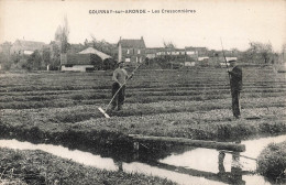 Gournay Sur Aronde * Les Cressonnières * Travail Aux Champs * Agriculture Cultures - Andere & Zonder Classificatie