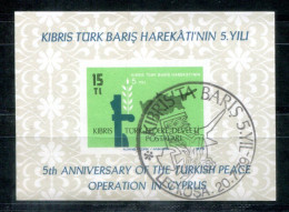 TÜRKISCH-ZYPERN Block 1, Bl.1 Canc - 5.Jahrestag, 5th Anniversary, 5e Anniversaire - TURKISH CYPRUS / CHYPRE TURQUE - Usados