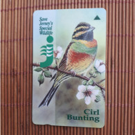 Bird Phonecard Used  Rare - Songbirds & Tree Dwellers