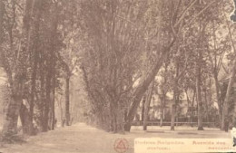 Vila Pouca De Aguiar > Bornes De Aguiar / Pedras Salgadas / Termas / Avenida Das Nascentes (1921) - Vila Real