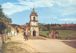 Vila Pouca De Aguiar - Igreja / Capela Do Senhor Rua Henrique Botelho / Burro = Asno = Donkey = Âne = Esel = Asino (1974 - Vila Real