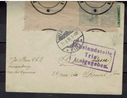 LUXEMBOURG 1916 - YT 96 X2 Sur ESC - CAD LUXEMBOURG VILLE POUR FRIBOURG SUISSE - 1914-24 Marie-Adelaide