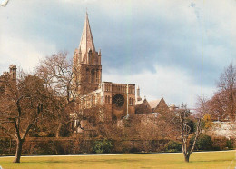 Postcard Uk England Oxford Christ Church Cathedral - Oxford