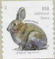 VEREINIGTE STAATEN ETATS UNIS USA 2021 BRUSH RABBIT COIL 20C USED SN 5545 MI 5782A YT 5395A - Oblitérés