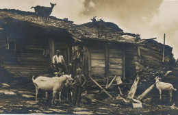 Real Photo Aeschi Bei Spiez Stamped 1933 Alphutte Im Suldtal  Goat Keeper Wooden Hut Chalet Chevres Wafler Wyss - Aeschi Bei Spiez