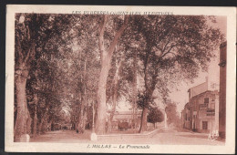 Millas (66) La Promenade ..(PPP43098) - Millas