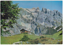 Dienten Am Hochkönig - Erichhütte 1550 M, Am Fuße Der Hochkönig Südwand - (Salzburg, Österreich/Austria) - St. Johann Im Pongau