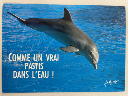 DAUPHIN - Comme Un Vrai Pastis Dans L'Eau ! - Dauphins