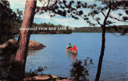 ETATS-UNIS - Wisconsin - Greetings From Rice Lake - Bears - Canoë - Lake - Animé - Carte Postale Ancienne - Autres & Non Classés