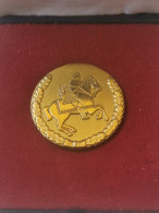 Luxembourg Médaille, Marche De L'armée Luxembourg - Autres & Non Classés