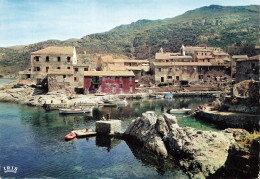 Centuri * Vue Sur Le Petit Port * Haute Corse 2B - Other & Unclassified