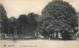 BELGIQUE - Bruxelles - Les Araucarias - Avenue Louise - Tramway - Arbres - Animé - Carte Postale Ancienne - Lanen, Boulevards