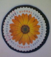 United States, Scott #5680, Used(o), 2022, Global Mail: African Daisy, ($1.30), Yellow And Brown - Gebruikt