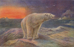 Polar Bear White Bear Arctic  Oilfacsim Tuck Ours Blanc Carte Simili Peinture - Greenland