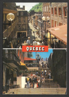 Québec - La Cité - L'escalier Casse-cou Et La Rue Petit Champlain - Par JC Ricard - Québec - La Cité