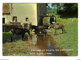 Beau Moulin Dans Le Morvan Avec 3 ânes VOIR DOS Carte Envoyée De MONTSAUCHE En 1980 - Montsauche Les Settons