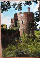 HERBIGNAC VIEUX CHATEAU DE RANROUET - Herbignac