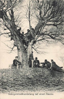 Armée Suisse Militaria - Schweizer Armee Militär Gebirgsmitrailleurstellung Auf Einem Baume Mitrailleuse Arbre - Sonstige & Ohne Zuordnung