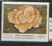 India  2001 SG  2010   Coral      Fine Used   - Oblitérés