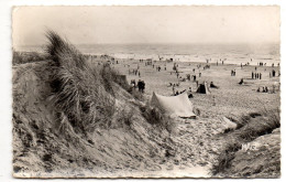 Royaume-Uni--BRIGHTON--1955--Les Dunes Et La Plage (animée)..timbre..cachet Cayeux-80 ..griffes..... - Brighton