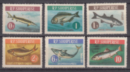 Albania 1964 Animals Fish Mi#809-814 Mint Never Hinged - Albania