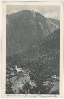 D825) MARIA SCHUTZ Am Semmering - NÖ - Gegen Den Otter 1924 - Semmering