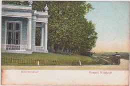 Bloemendaal - Koepel Wildhoef -1904 - Bloemendaal