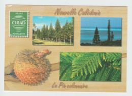 Entier Carte Postale Oblitérée  1997 - Enteros Postales