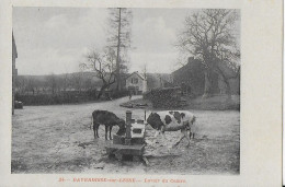 DAVERDISSE ..-- SCENE CHAMPETRE . LAVOIR Du Centre . Vaches à L ' Abreuvoir !! - Daverdisse