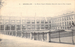 BELGIQUE - BRUXELLES - Le Musée Royal D'Histoire Naturelle Dans Le Parc Léopold - Carte Postale Ancienne - Altri & Non Classificati