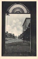 VATICAN - Giardini - Viale Della Zitella - Carte Postale Ancienne - Vatikanstadt