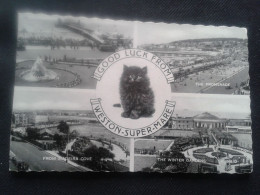 WESTON SUPER MARE PRESENTATION CARD  WITH CAT - Weston-Super-Mare