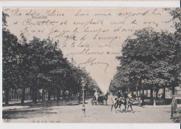 Cpa Bruxelles Avenue Louise  Attelages  1905 - Lanen, Boulevards