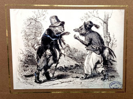 Dessin Gustave Doré, Fable De La Fontaine, Renard (ou Loup), Chat Humanisé, Chapeau - Photo, Bibliothèque De Nancy - Dessins