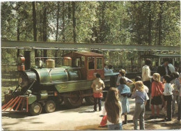 CPM  Saint Vrain Petit Train - Saint Vrain