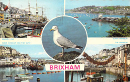 ANGLETERRE - Brixham - Golden Hind - Outer Harbor - The Harbour - Carte Postale Ancienne - Andere & Zonder Classificatie