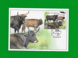 CZECH REPUBLIC 2021 MAXIMUMKARTE # Carte Maximum # Nature Réserve De Milovice  # AUEROCHSE - FDC