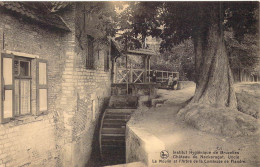 BELGIQUE - BRUXELLES - Institut Hygiénique - Château De Neckersgat - L'Arbre De La Comtesse ... - Carte Postale Ancienne - Andere & Zonder Classificatie