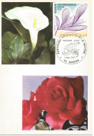 France -carte Maximun- Floralies-Nantes-1977 - 1970-1979