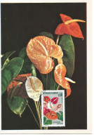 France -carte Maximun- Floralies-Martinique -1979 - 1970-1979