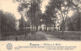 BELGIQUE - TONGRES - Château De Betho - Editeur E Desaix - Carte Postale Ancienne - Tongeren