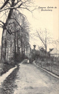 BELGIQUE - TONGRES - Entrée Du Beukenberg - Carte Postale Ancienne - Tongeren